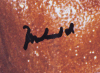 MUHAMMAD ALI SIGNED WHEN WE WERE KINGS CD - 2