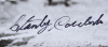 BASEBALL PLAYERS SIGNED PHOTOGRAPHS GROUP OF 27 - 11