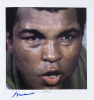 MUHAMMAD ALI 17 TIMES SIGNED THE BEST OF LEIFER BOOK - 28