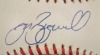 MODERN ERA HALL OF FAME INDUCTEES SIGNED BASEBALL GROUP - 21