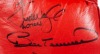 BOXING CHAMPIONS MULTI-SIGNED BOXING GLOVE WITH MUHAMMAD ALI AND RACE CAR DRIVER BILL ELLIOTT - JSA - 6