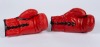 SUGAR RAY LEONARD & THOMAS HEARNS SIGNED BOXING GLOVES - 2