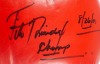 FELIX TRINIDAD SIGNED BOXING GLOVE - 3