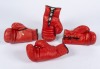 BOXING CHAMPIONS SIGNED BOXING GLOVE GROUP OF FOUR - 2