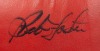 BOXING CHAMPIONS SIGNED BOXING GLOVE GROUP OF FOUR - 6