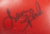 BOXING CHAMPIONS SIGNED BOXING GLOVE GROUP OF FOUR - 7