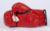 BOXING CHAMPIONS MULTI-SIGNED BOXING GLOVE - 2