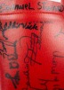 BOXING CHAMPIONS MULTI-SIGNED BOXING GLOVE - 6