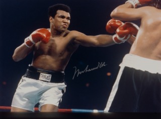 MUHAMMAD ALI vs ALFREDO EVANGELISTA SIGNED 16 X 20 BOXING PHOTOGRAPH