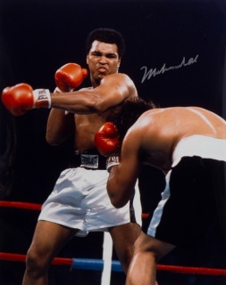 MUHAMMAD ALI vs ALFREDO EVANGELISTA SIGNED 16 X 20 BOXING PHOTOGRAPH