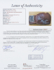 MUHAMMAD ALI AND SYLVESTER STALLONE SIGNED BOXING GLOVE FROM ALI - 4