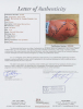 MUHAMMAD ALI, GEORGE FOREMAN AND JOE FRAZIER SIGNED BOXING GLOVE - 6