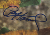 PAUL HORNUNG SIGNED PHOTOGRAPH AND PUBLICATIONS GROUP OF SIX - 5