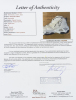 SHAQUILLE O'NEAL SIGNED GAME MODEL SHOE - 5